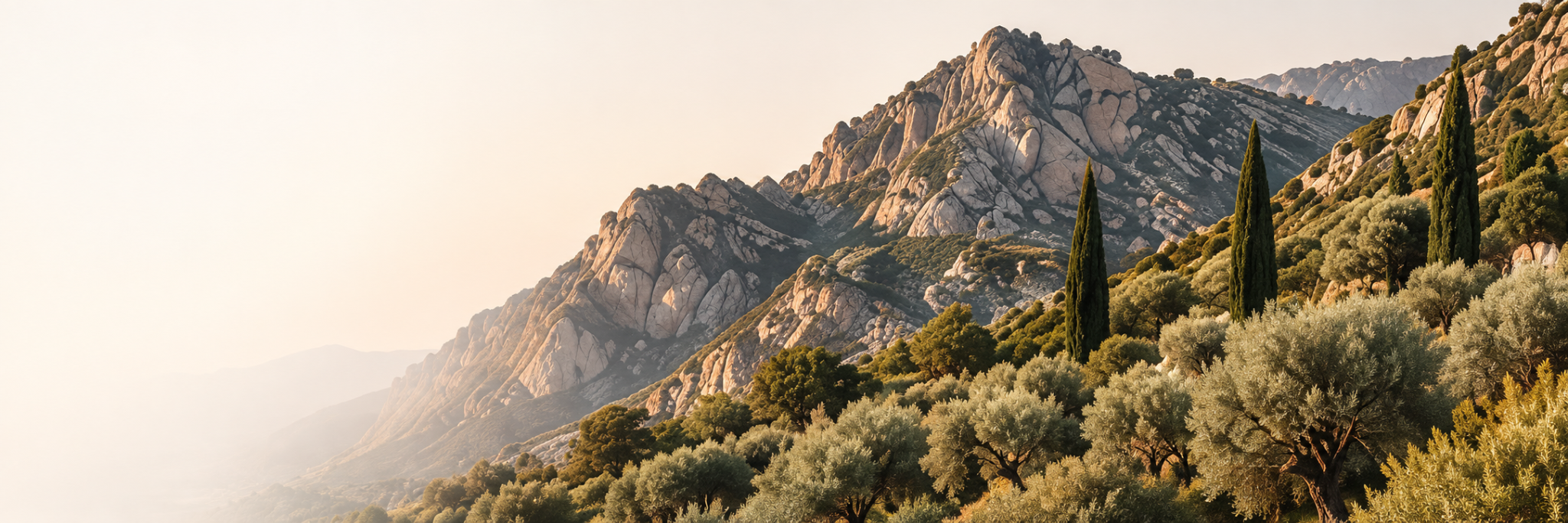 Sunlit Mediterranean mountains and evergreen trees